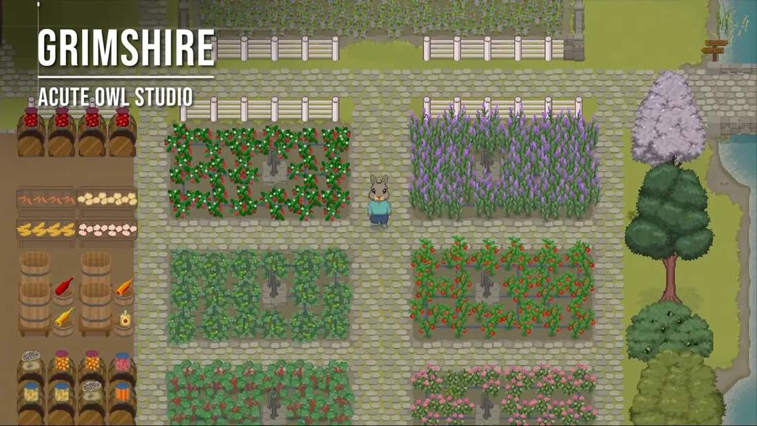 Grimshire tidy crop plots, barrels, processing area and a character standing between beds