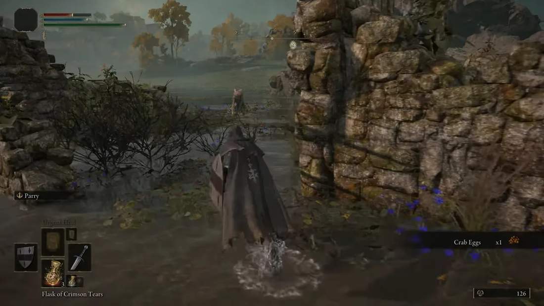 Elden Ring player approaching a ruined stone wall in a misty marshland, third-person view