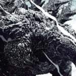 Godzilla Minus Zero: Early IMAX Roar!